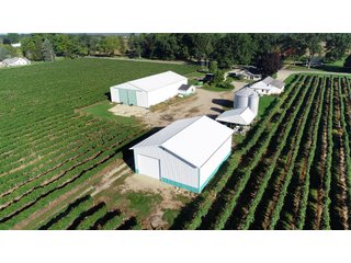 Tract 6 - Van Buren County, Michigan Farmland - LAND AUCTION - 300+/- ACRES SPECIALTY CROP - GRAPES AND HOPS - OFFERED IN 8 TRACTS IN VAN BUREN COUNTY, MICHIGAN